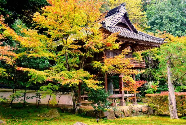 庭園