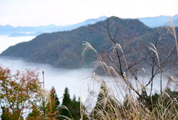 展望台