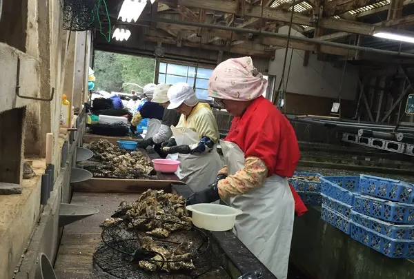 佐藤養殖場