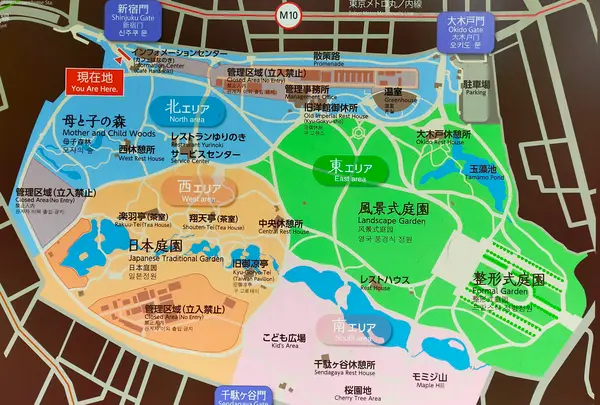 新宿御苑の写真・動画_image_524499