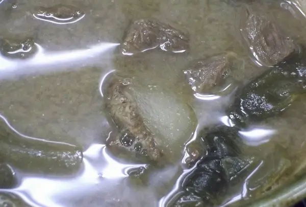 お食事処 黄金(くがに)の写真・動画_image_5249