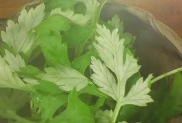 お食事処 黄金(くがに)の写真・動画_image_5250