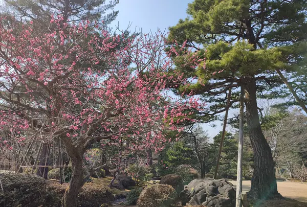 幽邃