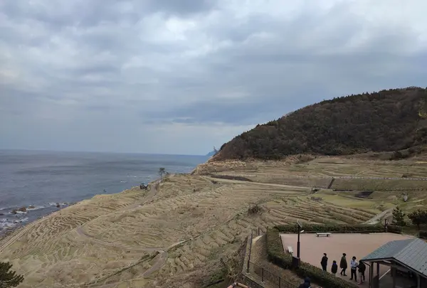 昼の千枚田
