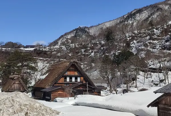 和田家