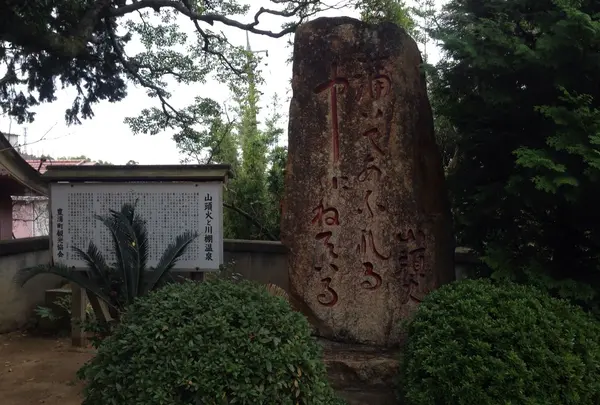 妙青寺の写真・動画_image_52782