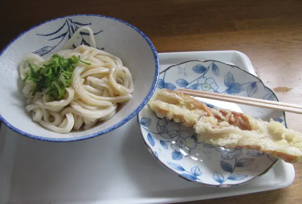 普通のうどん