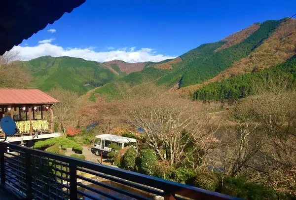 店からの眺め。