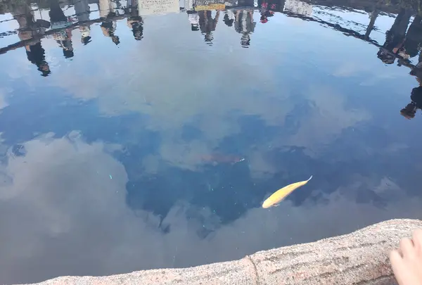 水深8mあるやつ