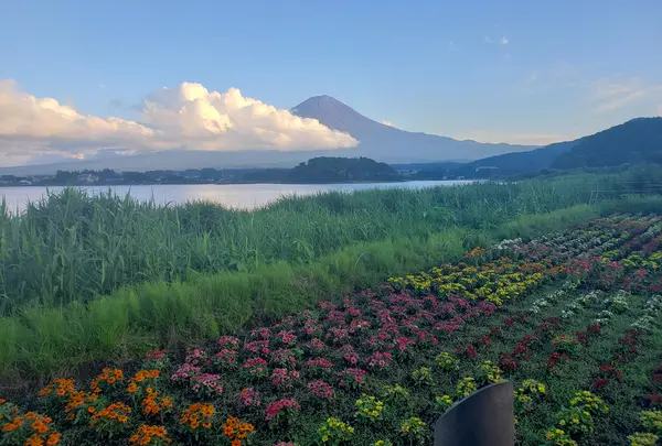 綺麗な赤富士