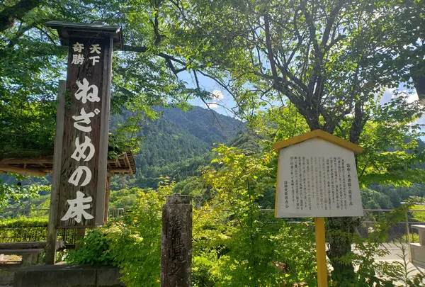 ちなみに浦島太郎伝説がある