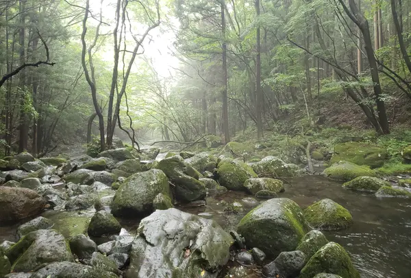 水触れるところまで降りられる