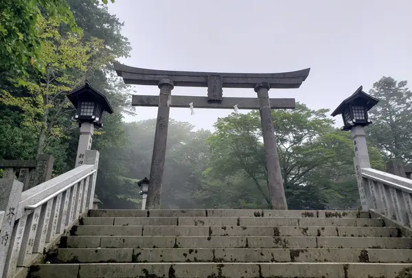 境内新しめ