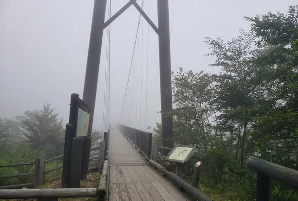 雲海が広がってたってことは
