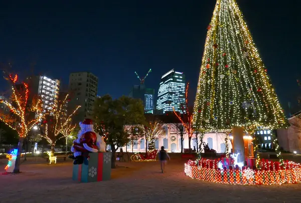広い公園内です