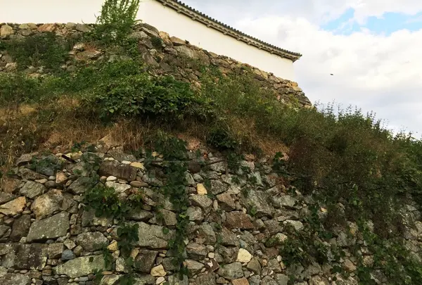 姫路城の写真・動画_image_53903
