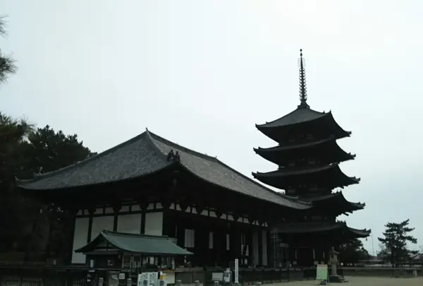 興福寺の写真・動画_image_542255