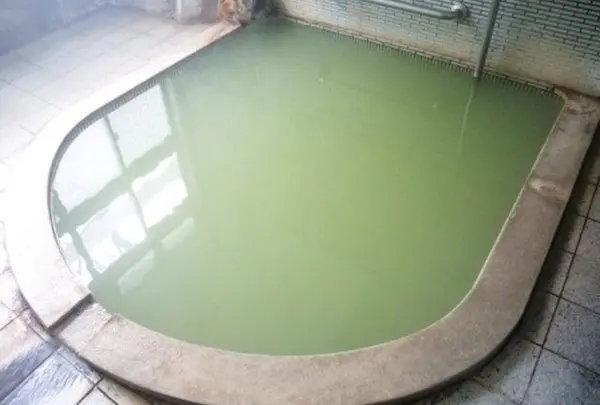 東五郎の湯 高東旅館の写真・動画_image_5430