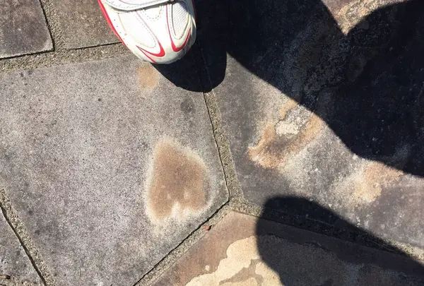 ひっそりとたたずむ愛のかたち