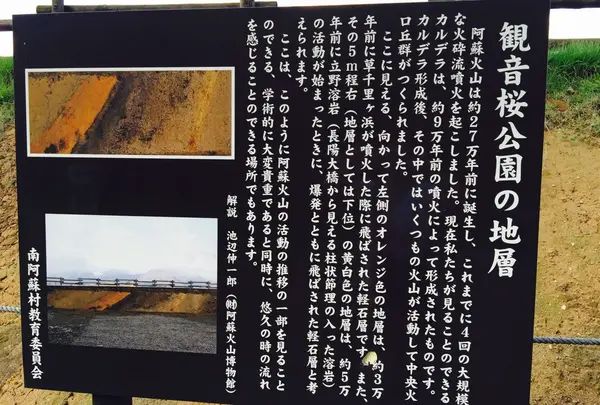 観音桜の写真・動画_image_54867