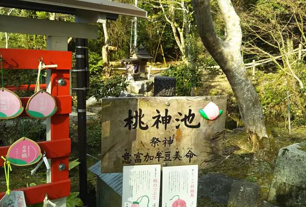等彌神社の写真・動画_image_549809