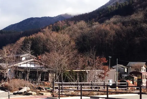 カフェ深山の写真・動画_image_55511