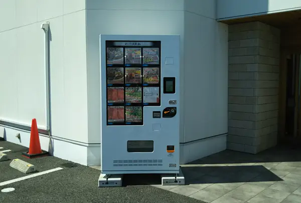 牛すじやハンバーグ、カルビ、ホルモン鍋セット
