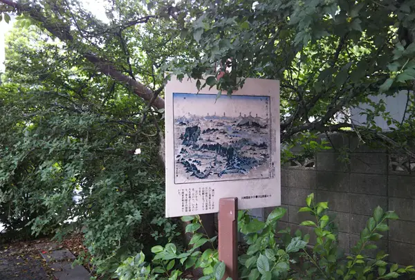大山小径