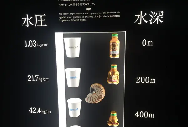 ウコンの力も力及ばず