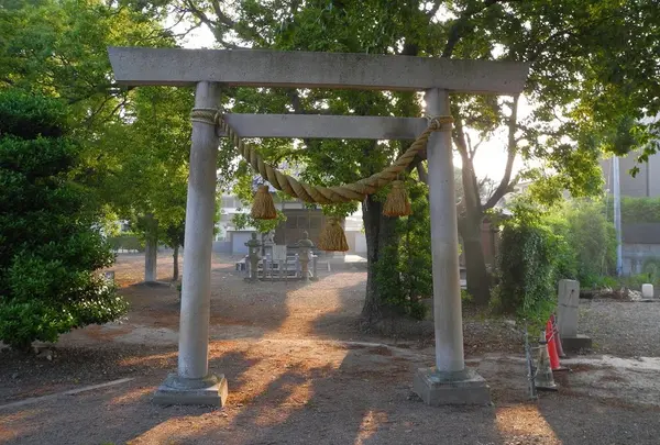 神社でお参りを