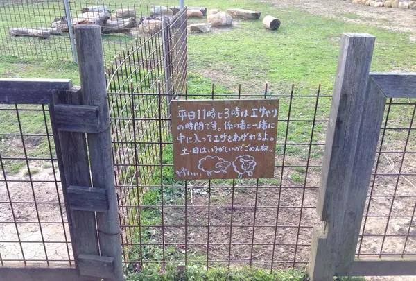 餌やり