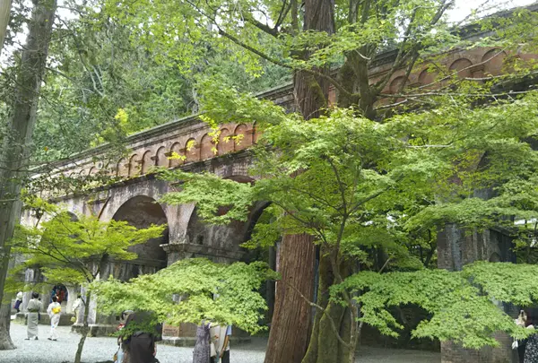南禅寺の写真・動画_image_568408