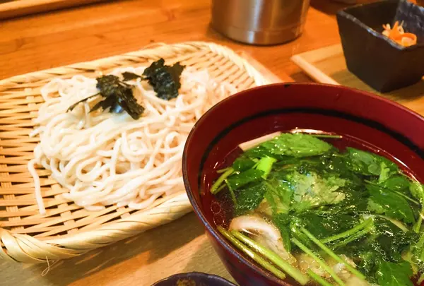 鳥つけうどん