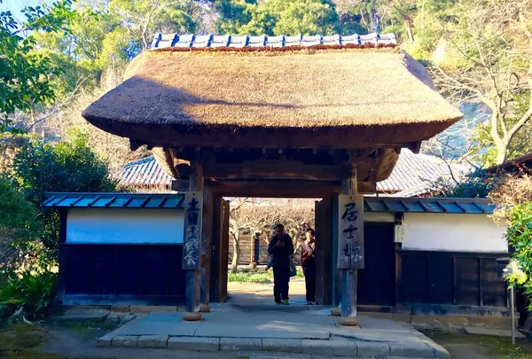 居士林