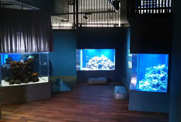 小規模水族館