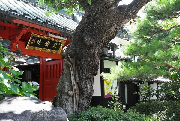 宿坊も立派