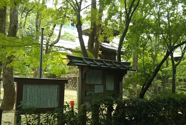徳光菩薩