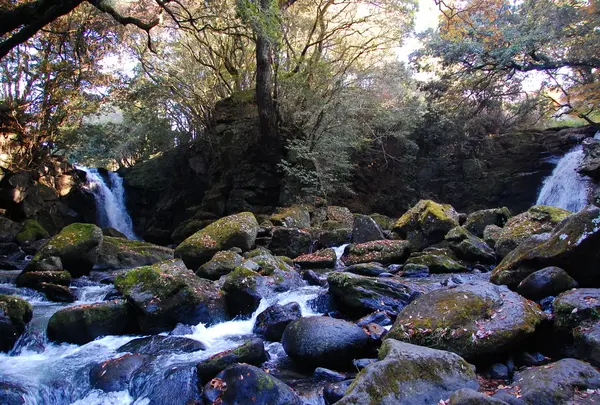 旅館藤もとの写真・動画_image_57398