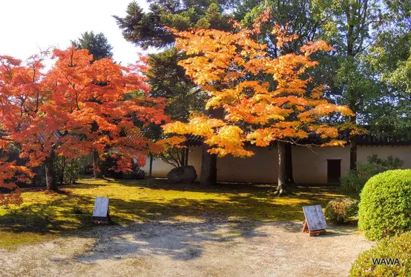 随心院の紅葉