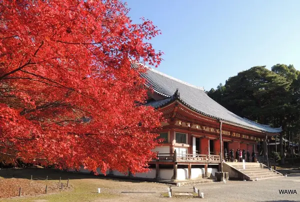 醍醐寺の金堂