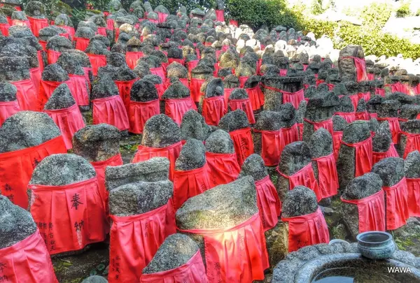 醍醐寺から随心院までの途中の見所