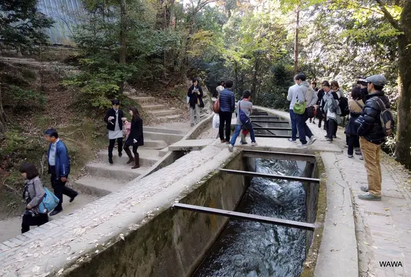 蹴上駅の写真・動画_image_57548