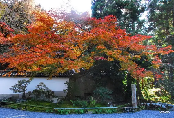 南禅寺