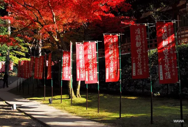 醍醐寺観音堂の紅葉