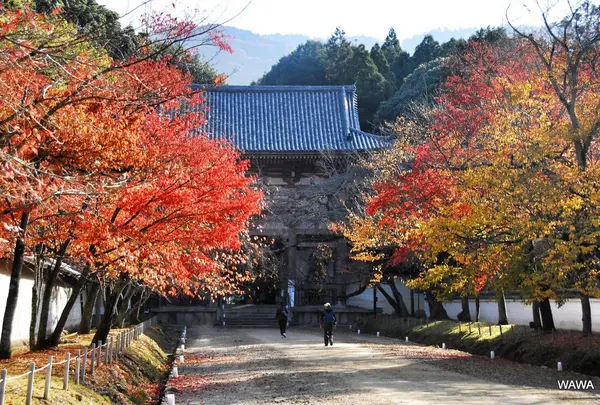 醍醐寺エリア
