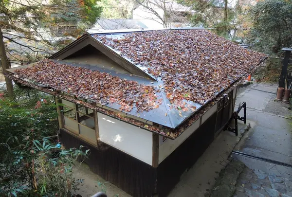 鞍馬山の写真・動画_image_57626