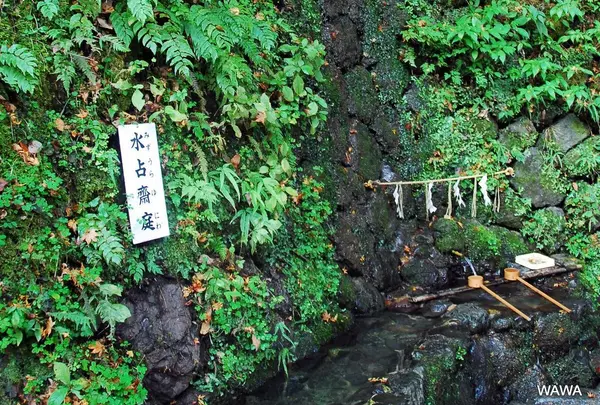 貴船神社の水占い