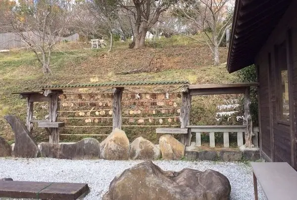 祈願合格神社の写真・動画_image_57724
