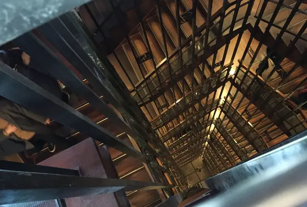 名古屋城の写真・動画_image_57835