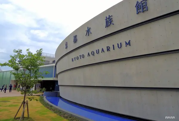 京都水族館の写真・動画_image_58145